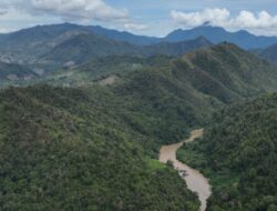 Pembangunan Jalan Muara Situlen–Gelombang Ancam Kelestarian TNGL