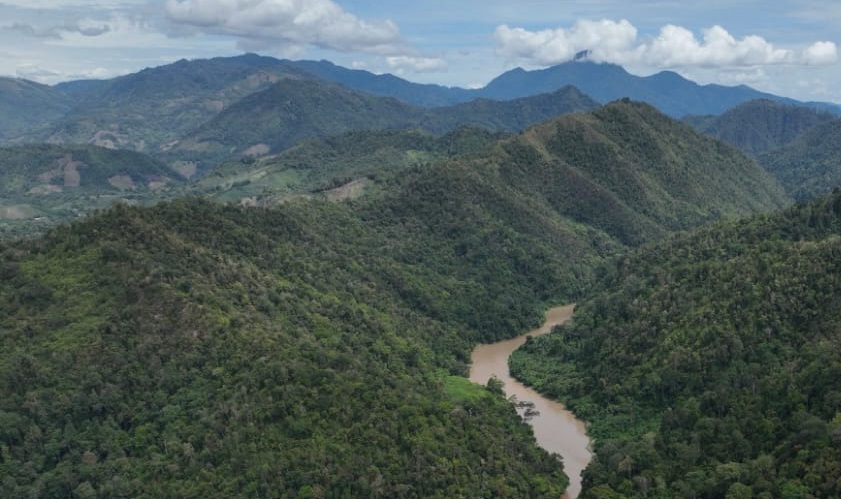 Pembangunan Jalan Muara Situlen–Gelombang Ancam Kelestarian TNGL