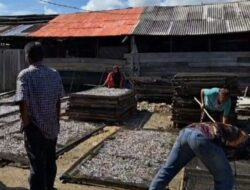Sentra Ikan Asin Pusong Baru Hidupkan Ekonomi Pesisir Lhokseumawe
