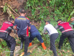 Pohon Tumbang Picu Macet, Tim Gabungan Sigap Tangani
