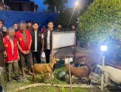Kasus Pencurian Ternak di Aceh Selatan Naik Tahap II