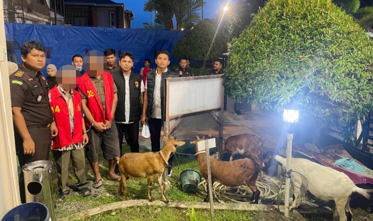 Kasus Pencurian Ternak di Aceh Selatan Naik Tahap II