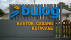 BULOG Kutacane Sementara Berhenti Serap Gabah, Ini Alasannya