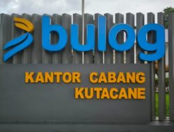 BULOG Kutacane Sementara Berhenti Serap Gabah, Ini Alasannya