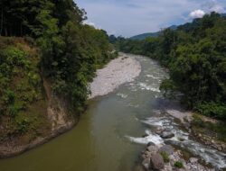 Wisata Aliran Sungai Ketambe, Sekaligus Penghasil Emas