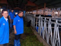 Syech Muharram Kunjungi BET Cipelang, Siapkan Strategi Peternakan Aceh Besar