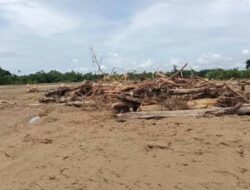 Banjir Parah Terjang Lahan Pertanian, Pemkab Abdya Segera Tindak Lanjut