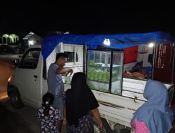 Bisnis Kue Pao Salah Satu Penunjang Ekonomi yang Menjanjikan