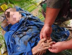 Arus Deras Sungai Alas Telan Korban, Sejumlah Wilayah Terisolasi