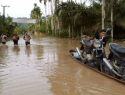 4 Kecamatan di Aceh Timur Terendam Banjir, Warga Mulai Mengungsi
