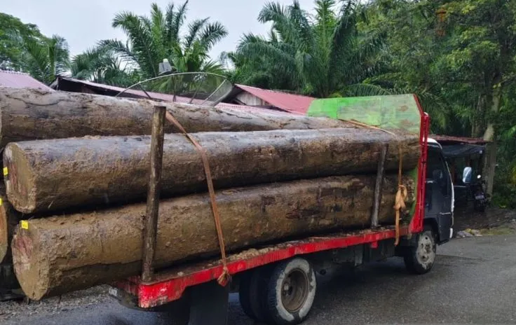 GeRAK Ungkap Pengangkutan Kayu Log Pascabanjir Bandang