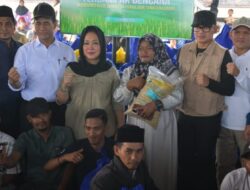 Pemerintah Mulai Pemulihan Lahan Pertanian Terdampak Bencana di Aceh Utara