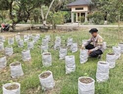 Pemulihan Pascabencana, Lumpur Banjir Jadi Lahan Produktif