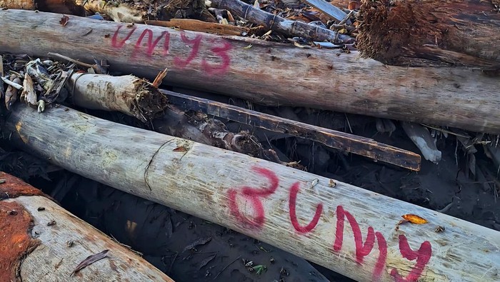 Pusat Izinkan Pemerintah Daerah Manfaatkan Kayu Sisa Banjir