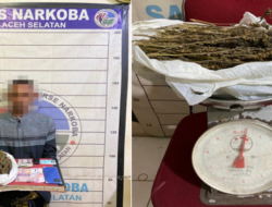 Informasi Warga Antar Polisi Bongkar Kasus Ganja