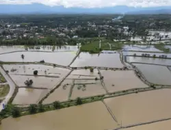 Sektor Perikanan di Aceh Timur Rugi Rp2 Triliun Lebih Akibat Banjir