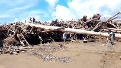 Banjir Ubah Dusun Sijantung Jadi Gunung Balok dan Lautan Kayu