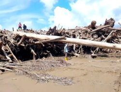 Banjir Ubah Dusun Sijantung Jadi Gunung Balok dan Lautan Kayu