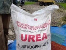 Krisis Pupuk Subsidi, Petani Abdya Terancam Gagal Panen