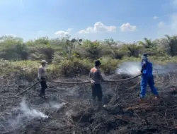 Karhutla di Aceh Barat Meluas dari 19 Ha Kini Menjadi 50 Ha
