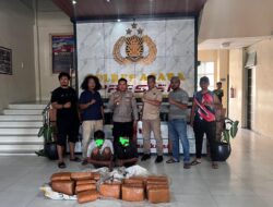 Polres Aceh Tenggara Amankan 50,7 Kg Ganja Siap Edar