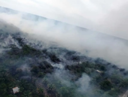 Murid Sesak Napas Akibat Asap Karhutla, Sekolah Diliburkan