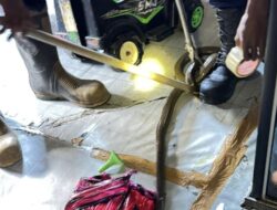 Ular Kobra Sepanjang 2 Meter Masuk ke Ruko Ruhana