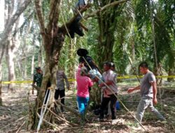 Seorang Pria Meninggal Diduga Gantung Diri di Pohon Karet