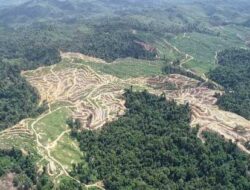 Aceh Kehilangan 39.687 Ha Hutan di Tahun 2025