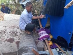 Pohon Tumbang Timpa Rumah Warga, Satu Orang Meninggal Dunia