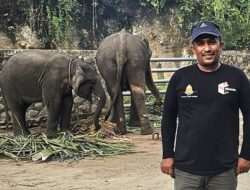 FDKP Minta Pemerintah Terbitkan Pergub Turunan Qanun Pengelolaan Satwa Liar