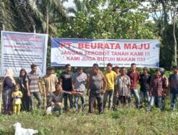 LBH Desak Audit Dua BUMD Sawit di Aceh Timur