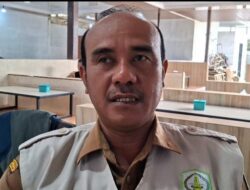 Aceh Tamiang Siapkan Ratusan Ekor Sapi Sambut Meugang Ramadan