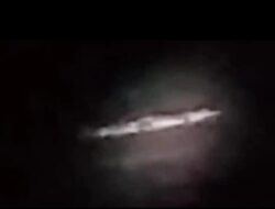 Penampakan Buaya Gegerkan Warga Padang Kawa Malam Hari