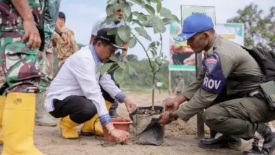 Pidie Jaya Tanam 300 Pohon untuk Pemulihan Lahan Pascabencana