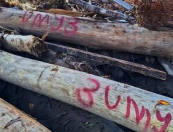 Bupati Aceh Timur Tegaskan Kayu Hanyutan Tidak Boleh Dijual