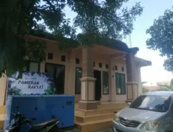 WALHI Aceh Soroti Konflik Gajah dan Manusia di Dataran Tinggi Gayo