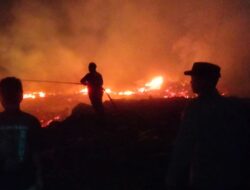 Kebakaran Tumpukan Kayu Menghanguskan Area di Karang Baru