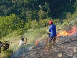 Lima Hektare Lahan di Darul Imarah Aceh Besar Terbakar
