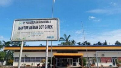 Kebun PTPN IV Cot Girek