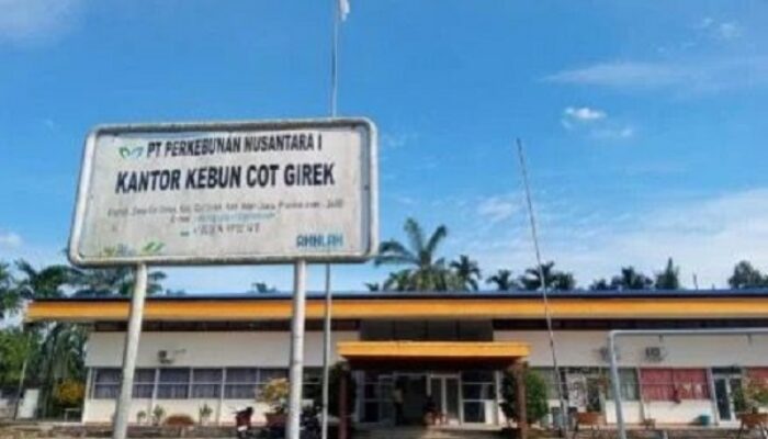 Kebun PTPN IV Cot Girek