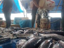 Nelayan Belum Melaut, Harga Ikan Masih Mahal