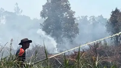 Karhutla di Samatiga Meluas Hingga 3,5 Hektare