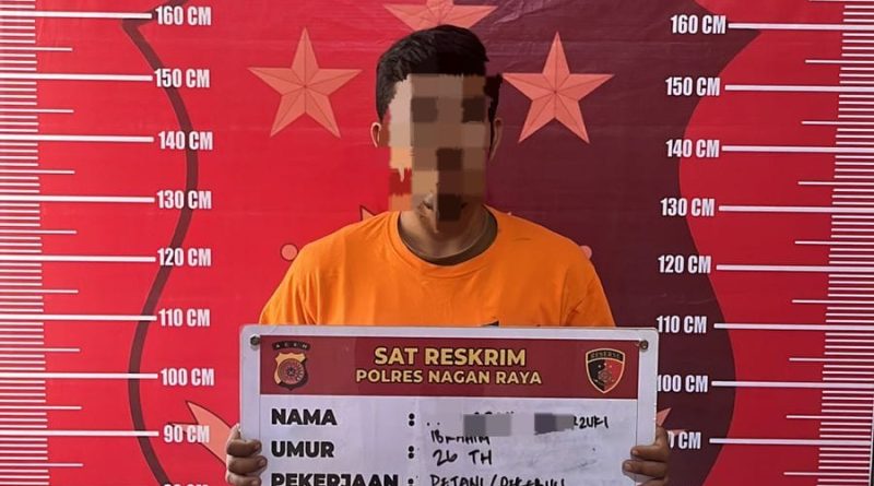 Polres Nagan Raya Tangkap Pelaku Pencurian Buah Sawit Kedua