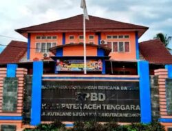 Honorer Damkar BPBD Aceh Tenggara Keluhkan Gaji Tertunggak Tiga Bulan