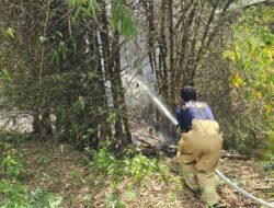 Kebakaran Rumpun Bambu Dekat Permukiman Warga Berhasil Dijinakkan
