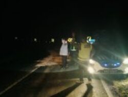 Tumpahan Solar Picu Truk Elpiji Terbalik di Tadu Raya