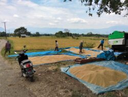 Maheng Andalkan Gotong Royong Petani untuk Ketahanan Pangan