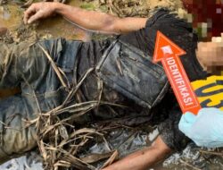 Penemuan Mayat Laki-Laki di Perkebunan Sawit Nagan Raya, Polisi Selidiki Penyebab