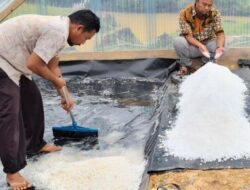 Produksi Garam di Simeulue Capai 6 Ton per Bulan